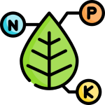 npk_1345343