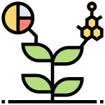 plant_1555552