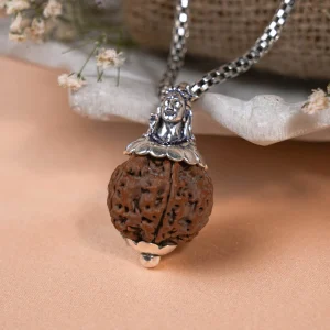 02_Detail_7410f6aa-824c-404b-a66b-6a121d425e2a.webp 5 Mukhi Silver Rudraksha Mala - with Natural 6 Mukhi Rudraksha Pendant