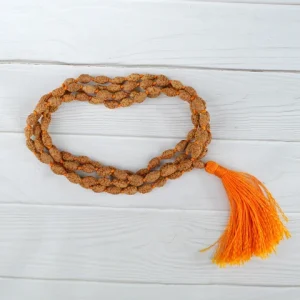 2 Mukhi Japa Rudraksha Mala
