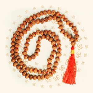 6mukhiRudrakshaMala.webp 6 Mukhi Japa Rudraksha Mala