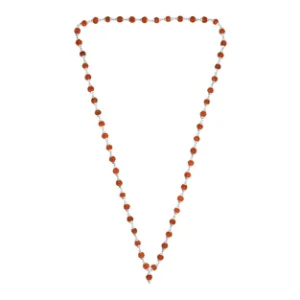 DSC00922.webp 5 Mukhi Rudraksha Mala