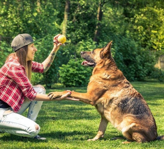 woman-and-dog-friendship-owner-and-pet.jpg woman-and-dog-friendship-owner-and-pet.jpg